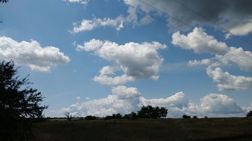 Low angle view of trees on field against sky