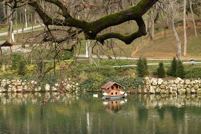 Houses by lake against trees