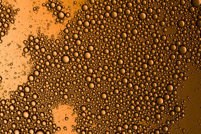 Close-up of water drops on glass