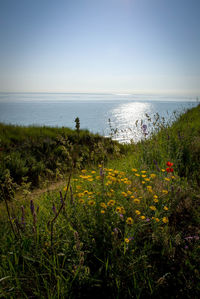 Scenic view of sea against clear sky