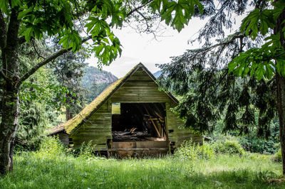 Abandoned house amidst trees on field in forest