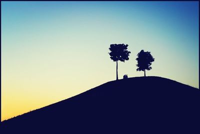 Trees growing against clear sky at sunset