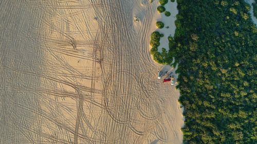 Aerial view of beach