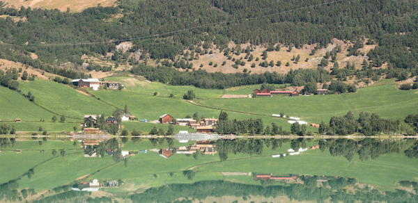 Scenic view of agricultural field