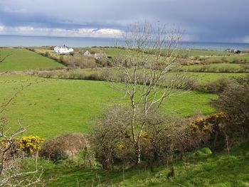 Scenic view of field by sea against sky