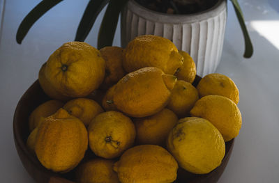 High angle view of fruits on table