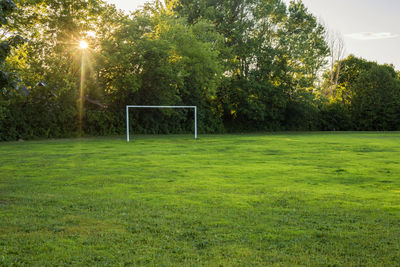 View of soccer field against trees