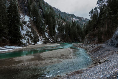 Scenic view of river amidst trees against sky