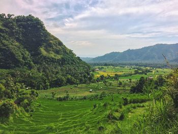 Scenic view of field against sky