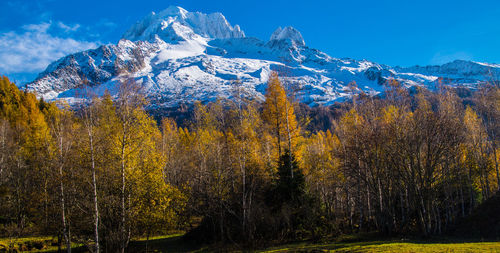 Scenic view of snowcapped mountains during autumn