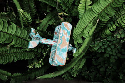 An airplane wooden miniature that crashed on trees.