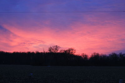 Silhouette of trees at sunset