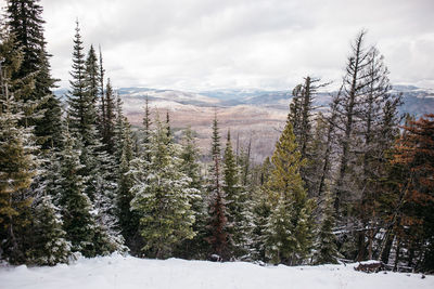 Scenic view of snow covered mountains against cloudy sky