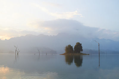 Scenic view of calm lake at khao sok national park