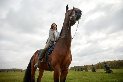 Low angle view of horse on field against sky