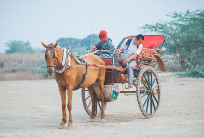 Horse cart