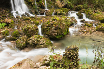 Scenic view of waterfall in forest