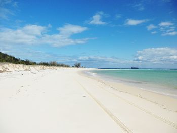 Scenic view of beach