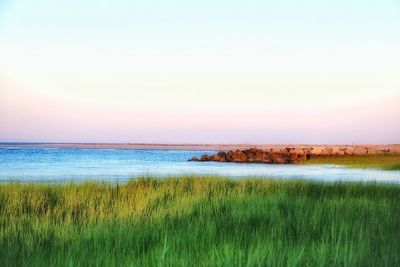 Scenic view of sea against clear sky