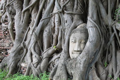 Statue of statues in temple