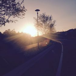 Sun shining through trees