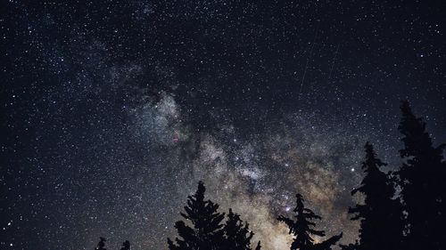 Low angle view of silhouette trees against sky at night