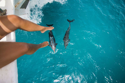 Low section of woman sitting on boat against dolphins in sea