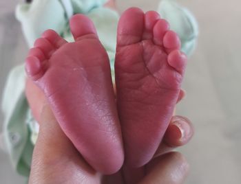 Close-up of baby hand