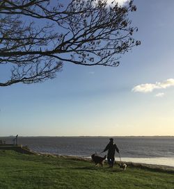 Man sitting by sea against sky