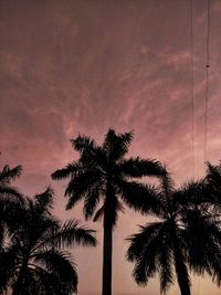 Low angle view of silhouette palm trees against romantic sky