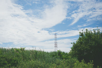 Low angle view of trees against sky