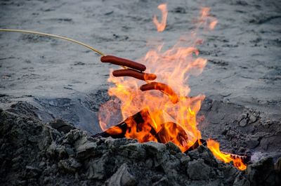 Roasting hot dogs in bonfire