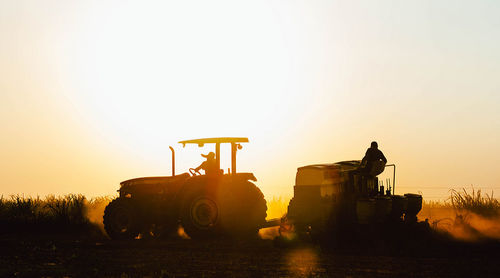 Farm workers work on planting the crop. agriculture is one of the main bases of brazilian economy