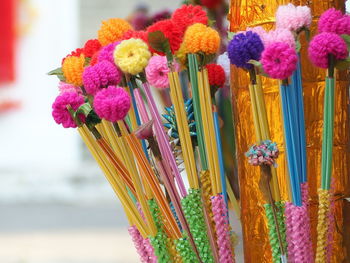 Close-up of multi colored flowering plant