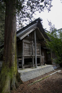 Abandoned house amidst trees in forest against sky