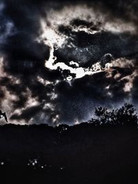 Low angle view of silhouette plants against sky at night