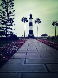 View of trees against sky