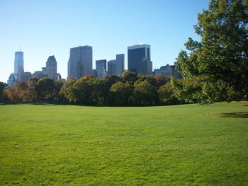Trees and buildings against clear sky