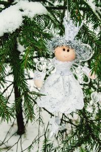 Close-up of christmas tree in snow