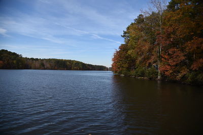 Scenic view of lake in forest against sky