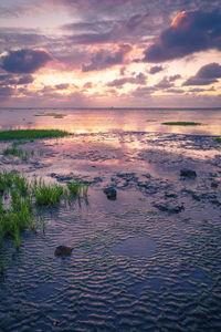 Scenic view of sea against sky during sunset