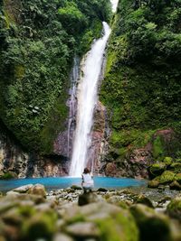 Scenic view of waterfall