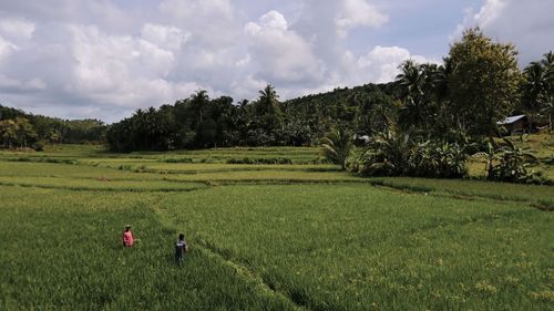 Scenic view of agricultural field against sky