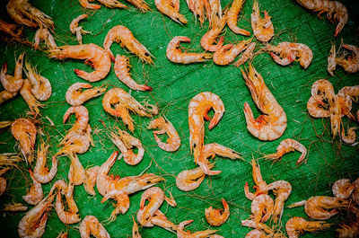 Directly above shot of prawns drying on green textile