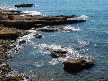 High angle view of rocks in sea