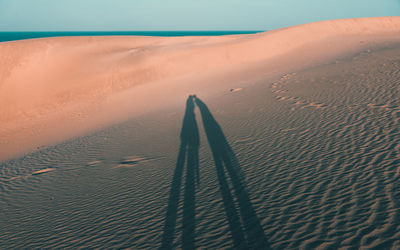 Shadow of person on sand dune
