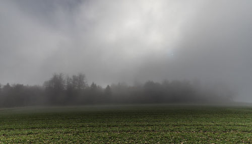 Scenic view of field against sky during foggy weather