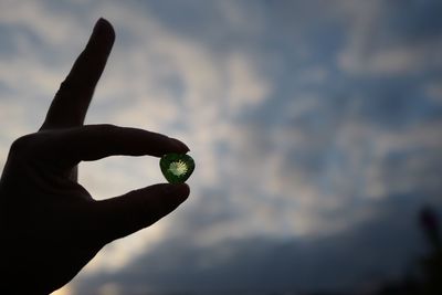 Close-up of hand holding leaf against sky