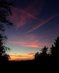 Silhouette trees against sky at sunset