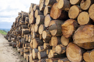 Stack of firewood